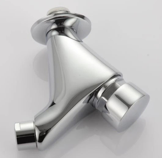 Self Closing Tap Delay Time Faucet Water Saving Wall Mounted